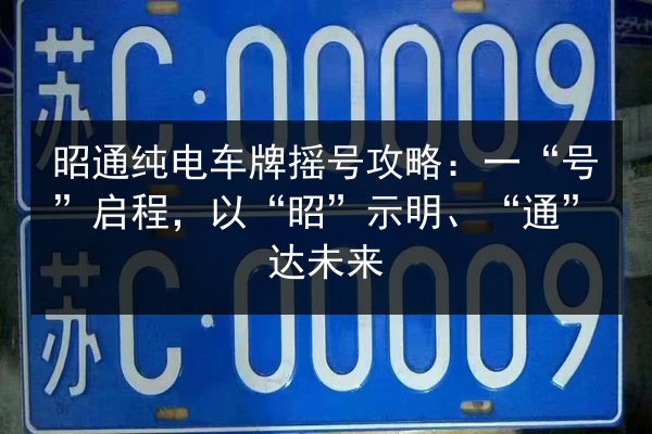 昭通纯电车牌摇号攻略:一“号”启程,以“昭”示明、“通”达未来 第2张 昭通纯电车牌摇号攻略:一“号”启程,以“昭”示明、“通”达未来 第2张