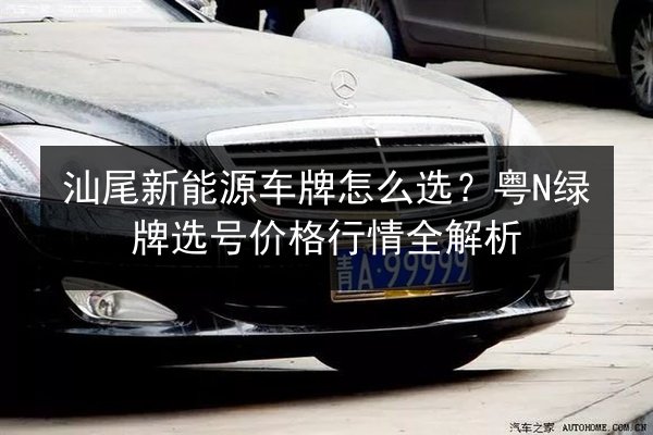 汕尾新能源车牌怎么选?粤N绿牌选号价格行情全解析 第2张 汕尾新能源车牌怎么选?粤N绿牌选号价格行情全解析 第2张