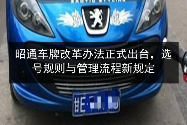 昭通车牌改革办法正式出台，选号规则与管理流程新规定
