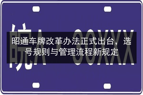 昭通车牌改革办法正式出台，选号规则与管理流程新规定 第2张