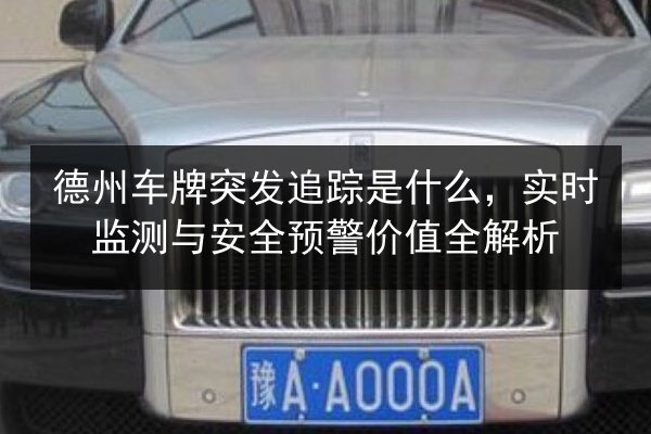 德州车牌突发追踪是什么，实时监测与安全预警价值全解析