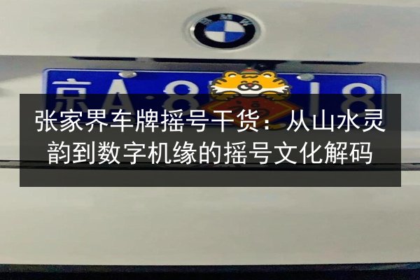 张家界车牌摇号干货：从山水灵韵到数字机缘的摇号文化解码