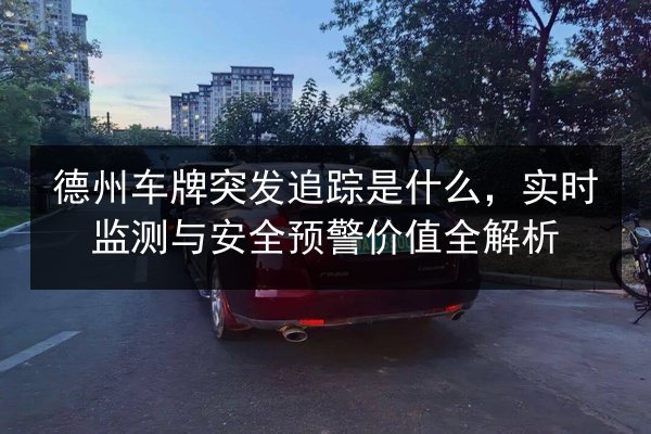 德州车牌突发追踪是什么,实时监测与安全预警价值全解析 第2张 德州车牌突发追踪是什么,实时监测与安全预警价值全解析 第2张