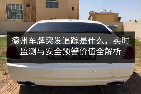 德州车牌突发追踪是什么,实时监测与安全预警价值全解析 第3张 德州车牌突发追踪是什么,实时监测与安全预警价值全解析 第3张