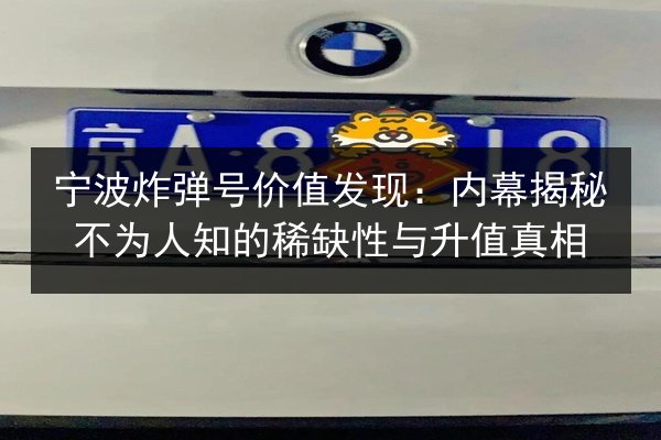 宁波炸弹号价值发现:内幕揭秘不为人知的稀缺性与升值真相 第2张 宁波炸弹号价值发现:内幕揭秘不为人知的稀缺性与升值真相 第2张