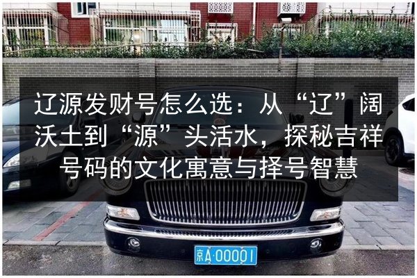 辽源发财号怎么选：从“辽”阔沃土到“源”头活水，探秘吉祥号码的文化寓意与择号智慧