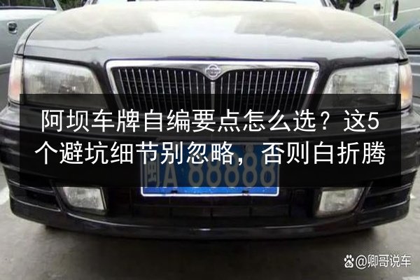 阿坝车牌自编要点怎么选?这5个避坑细节别忽略,否则白折腾 第2张 阿坝车牌自编要点怎么选?这5个避坑细节别忽略,否则白折腾 第2张
