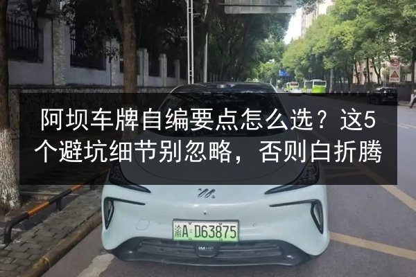 阿坝车牌自编要点怎么选?这5个避坑细节别忽略,否则白折腾 第3张 阿坝车牌自编要点怎么选?这5个避坑细节别忽略,否则白折腾 第3张