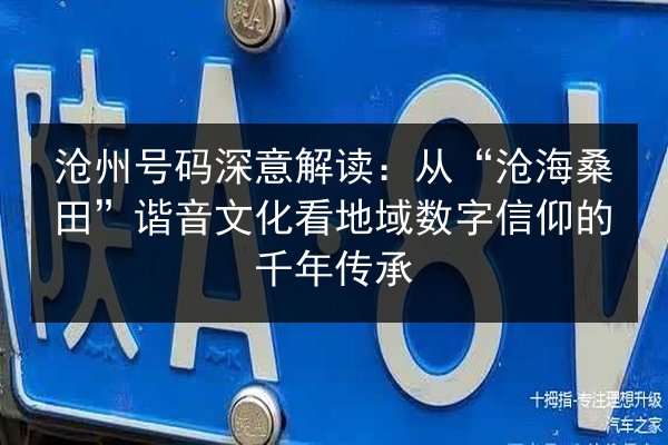 沧州号码深意解读：从“沧海桑田”谐音文化看地域数字信仰的千年传承