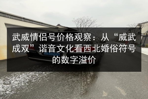 武威情侣号价格观察:从“威武成双”谐音文化看西北婚俗符号的数字溢价 第3张 武威情侣号价格观察:从“威武成双”谐音文化看西北婚俗符号的数字溢价 第3张