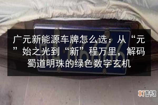 广元新能源车牌怎么选：从“元”始之光到“新”程万里，解码蜀道明珠的绿色数字玄机 第3张