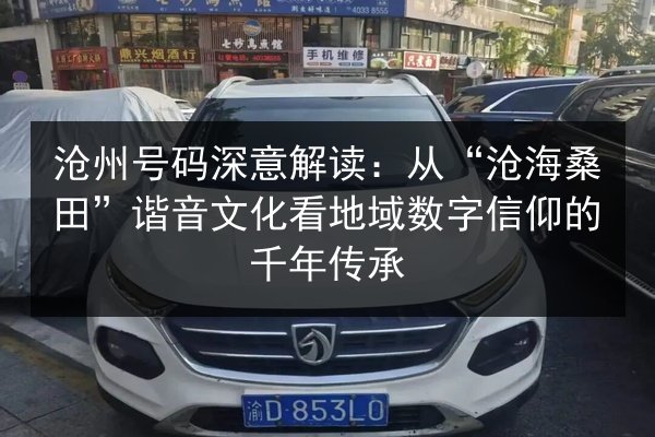 沧州号码深意解读：从“沧海桑田”谐音文化看地域数字信仰的千年传承 第3张