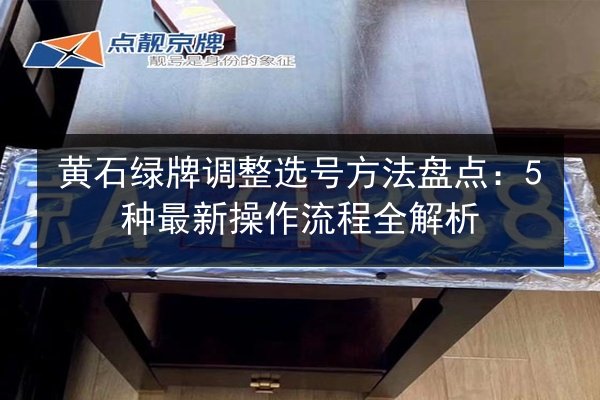黄石绿牌调整选号方法盘点：5种最新操作流程全解析