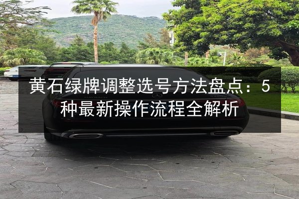 黄石绿牌调整选号方法盘点：5种最新操作流程全解析 第2张