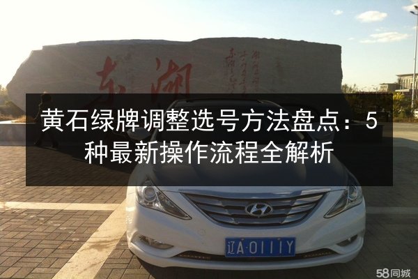 黄石绿牌调整选号方法盘点：5种最新操作流程全解析 第3张