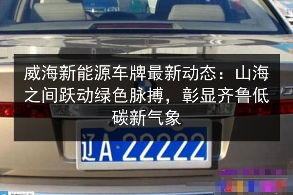 威海新能源车牌最新动态:山海之间跃动绿色脉搏,彰显齐鲁低碳新气象 第2张 威海新能源车牌最新动态:山海之间跃动绿色脉搏,彰显齐鲁低碳新气象 第2张