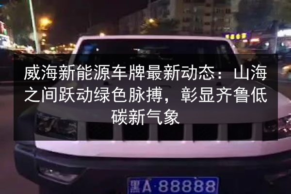 威海新能源车牌最新动态:山海之间跃动绿色脉搏,彰显齐鲁低碳新气象 第3张 威海新能源车牌最新动态:山海之间跃动绿色脉搏,彰显齐鲁低碳新气象 第3张