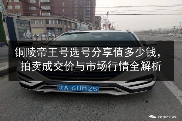 铜陵帝王号选号分享值多少钱，拍卖成交价与市场行情全解析