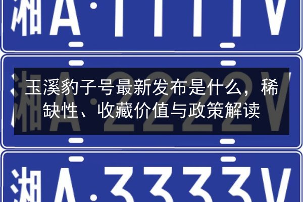 玉溪豹子号最新发布是什么，稀缺性、收藏价值与政策解读
