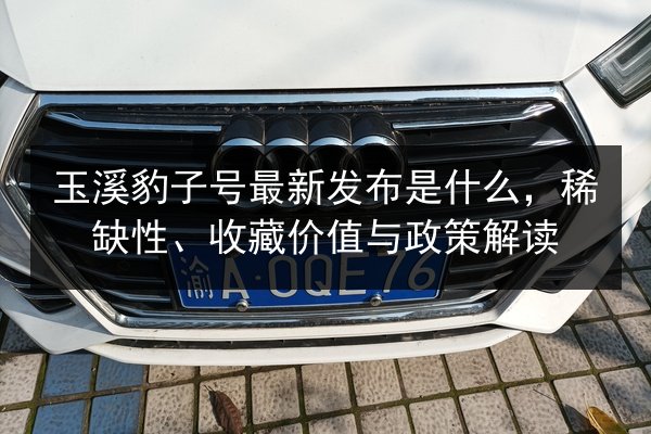 玉溪豹子号最新发布是什么,稀缺性、收藏价值与政策解读 第2张 玉溪豹子号最新发布是什么,稀缺性、收藏价值与政策解读 第2张