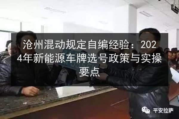 沧州混动规定自编经验:2024年新能源车牌选号政策与实操要点 第2张 沧州混动规定自编经验:2024年新能源车牌选号政策与实操要点 第2张