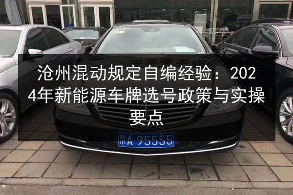 沧州混动规定自编经验:2024年新能源车牌选号政策与实操要点 第3张 沧州混动规定自编经验:2024年新能源车牌选号政策与实操要点 第3张