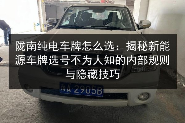 陇南纯电车牌怎么选：揭秘新能源车牌选号不为人知的内部规则与隐藏技巧 第2张