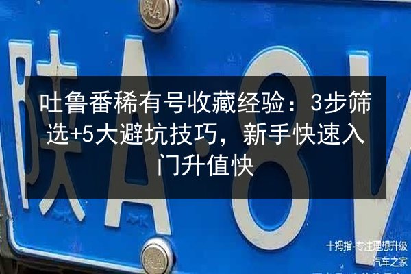 吐鲁番稀有号收藏经验：3步筛选+5大避坑技巧，新手快速入门升值快