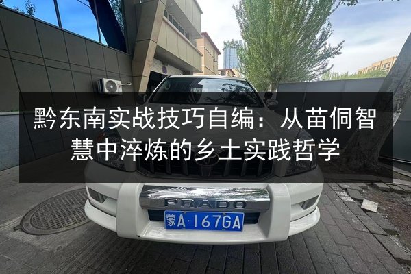 黔东南实战技巧自编：从苗侗智慧中淬炼的乡土实践哲学