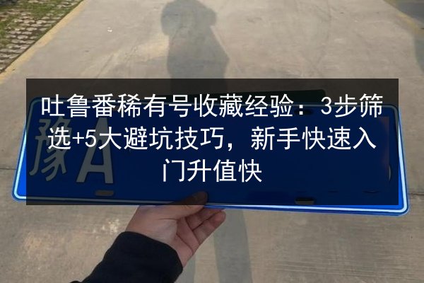 吐鲁番稀有号收藏经验:3步筛选+5大避坑技巧,新手快速入门升值快 第2张 吐鲁番稀有号收藏经验:3步筛选+5大避坑技巧,新手快速入门升值快 第2张