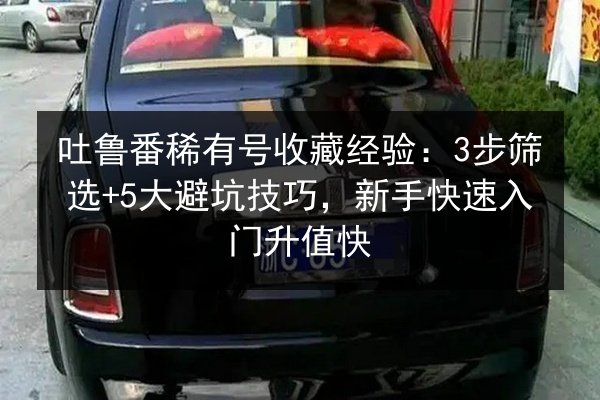 吐鲁番稀有号收藏经验:3步筛选+5大避坑技巧,新手快速入门升值快 第3张 吐鲁番稀有号收藏经验:3步筛选+5大避坑技巧,新手快速入门升值快 第3张