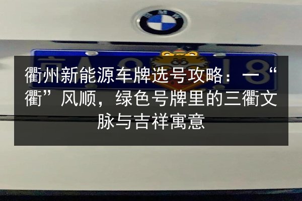 衢州新能源车牌选号攻略：一“衢”风顺，绿色号牌里的三衢文脉与吉祥寓意 第2张