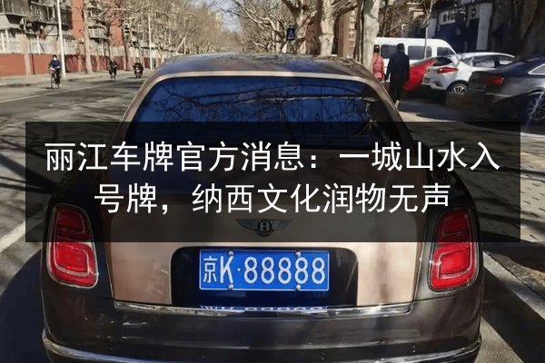丽江车牌官方消息:一城山水入号牌,纳西文化润物无声 第2张 丽江车牌官方消息:一城山水入号牌,纳西文化润物无声 第2张