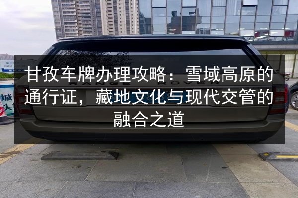 甘孜车牌办理攻略:雪域高原的通行证,藏地文化与现代交管的融合之道 第2张 甘孜车牌办理攻略:雪域高原的通行证,藏地文化与现代交管的融合之道 第2张