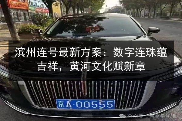 滨州连号最新方案:数字连珠蕴吉祥,黄河文化赋新章 第2张 滨州连号最新方案:数字连珠蕴吉祥,黄河文化赋新章 第2张