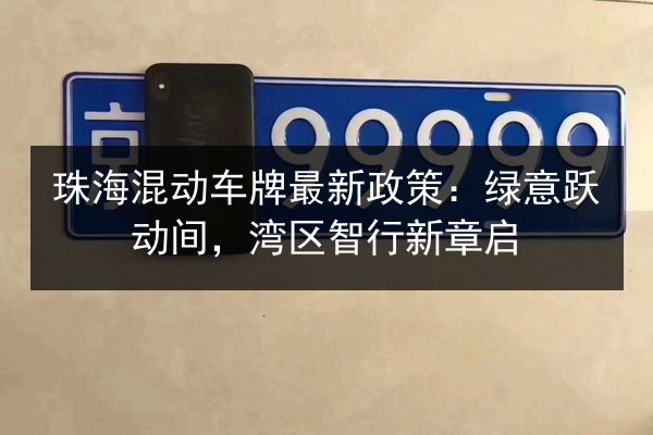 珠海混动车牌最新政策：绿意跃动间，湾区智行新章启 第2张