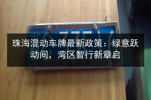 珠海混动车牌最新政策：绿意跃动间，湾区智行新章启 第3张