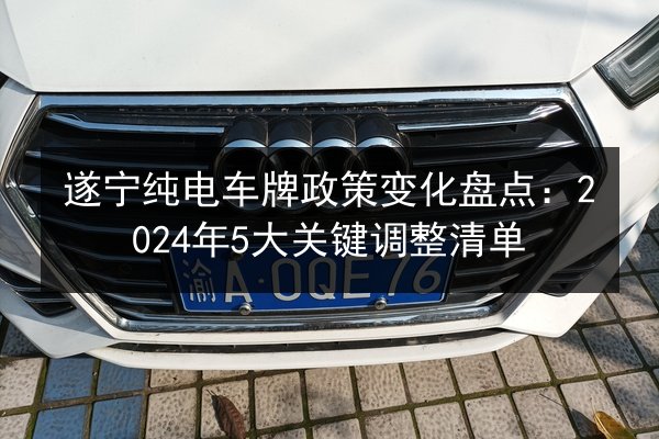 遂宁纯电车牌政策变化盘点:2024年5大关键调整清单 第2张 遂宁纯电车牌政策变化盘点:2024年5大关键调整清单 第2张