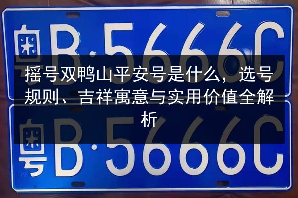摇号双鸭山平安号是什么，选号规则、吉祥寓意与实用价值全解析