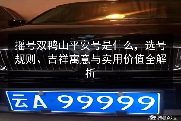 摇号双鸭山平安号是什么,选号规则、吉祥寓意与实用价值全解析 第2张 摇号双鸭山平安号是什么,选号规则、吉祥寓意与实用价值全解析 第2张
