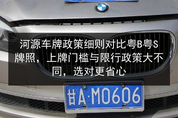 河源车牌政策细则对比粤B粤S牌照,上牌门槛与限行政策大不同,选对更省心 第2张 河源车牌政策细则对比粤B粤S牌照,上牌门槛与限行政策大不同,选对更省心 第2张