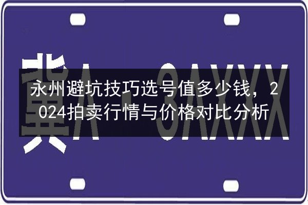永州避坑技巧选号值多少钱，2024拍卖行情与价格对比分析 第3张