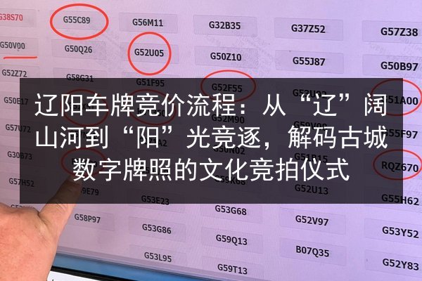 辽阳车牌竞价流程：从“辽”阔山河到“阳”光竞逐，解码古城数字牌照的文化竞拍仪式