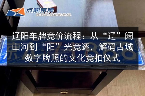 辽阳车牌竞价流程:从“辽”阔山河到“阳”光竞逐,解码古城数字牌照的文化竞拍仪式 第2张 辽阳车牌竞价流程:从“辽”阔山河到“阳”光竞逐,解码古城数字牌照的文化竞拍仪式 第2张
