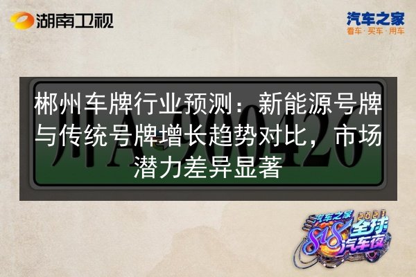 郴州车牌行业预测:新能源号牌与传统号牌增长趋势对比,市场潜力差异显著 第2张 郴州车牌行业预测:新能源号牌与传统号牌增长趋势对比,市场潜力差异显著 第2张