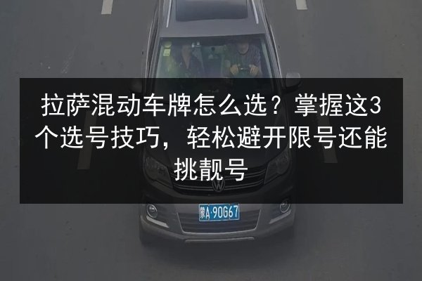 拉萨混动车牌怎么选?掌握这3个选号技巧,轻松避开限号还能挑靓号 第2张 拉萨混动车牌怎么选?掌握这3个选号技巧,轻松避开限号还能挑靓号 第2张