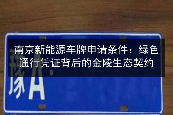 南京新能源车牌申请条件：绿色通行凭证背后的金陵生态契约 第2张