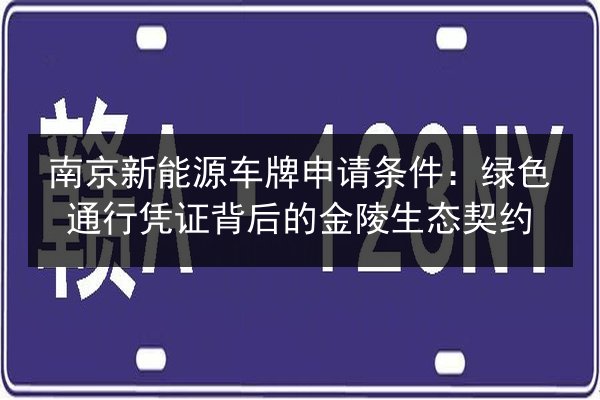 南京新能源车牌申请条件：绿色通行凭证背后的金陵生态契约 第3张