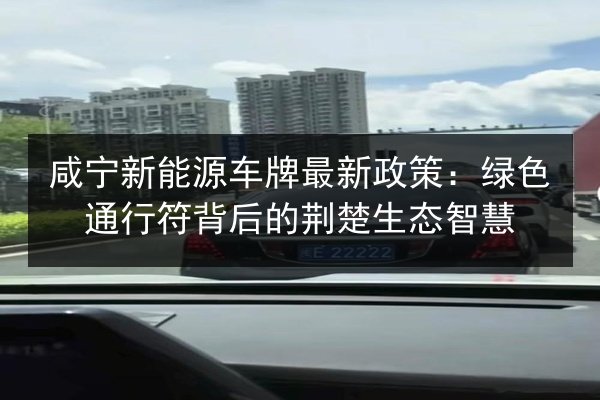 咸宁新能源车牌最新政策：绿色通行符背后的荆楚生态智慧