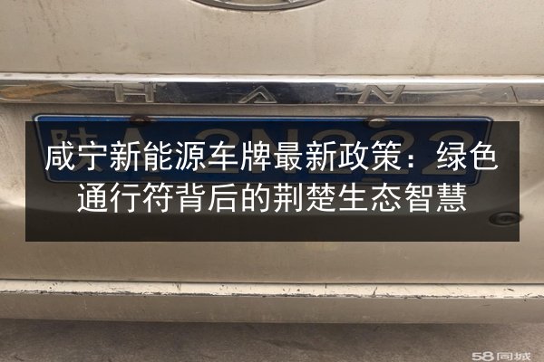 咸宁新能源车牌最新政策：绿色通行符背后的荆楚生态智慧 第2张
